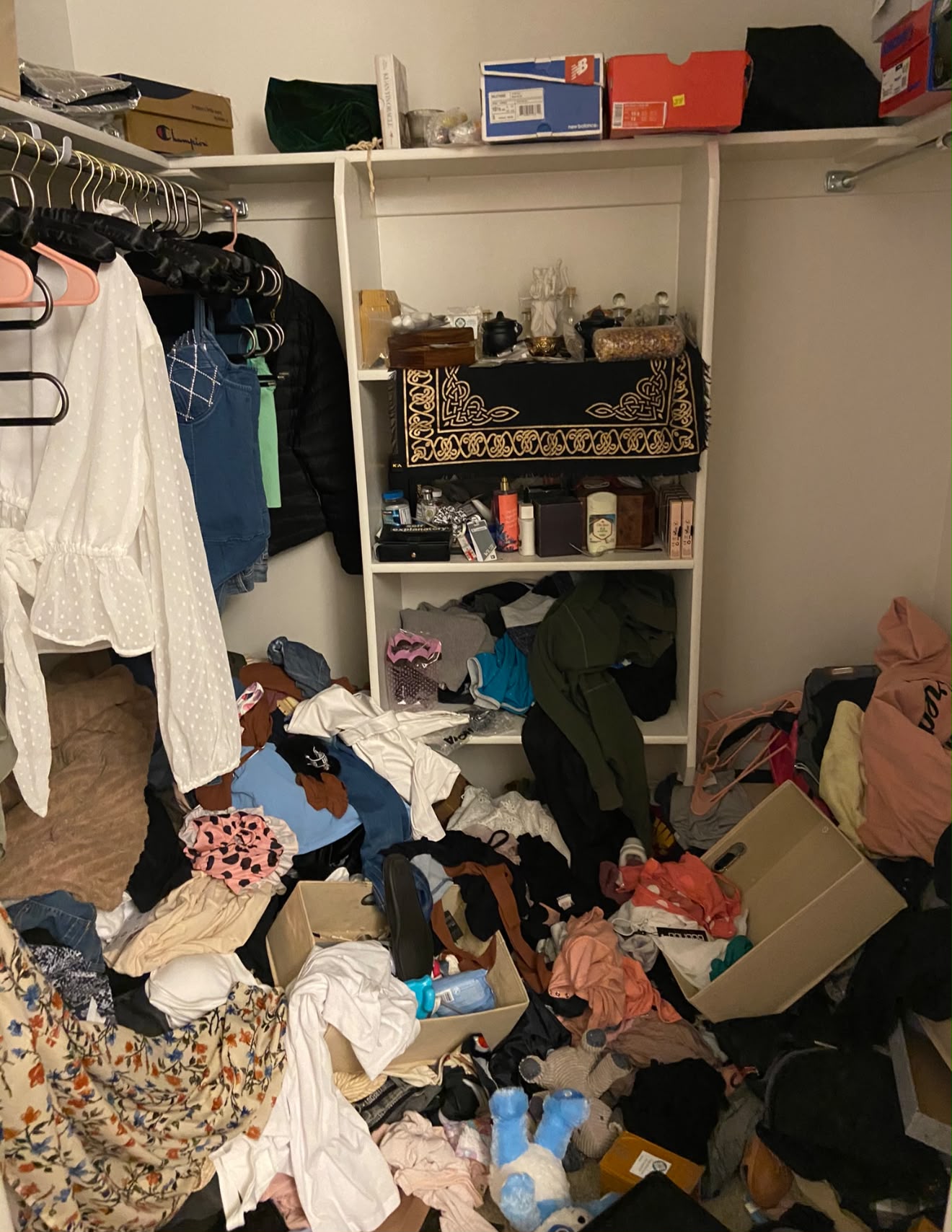 Closet before organization